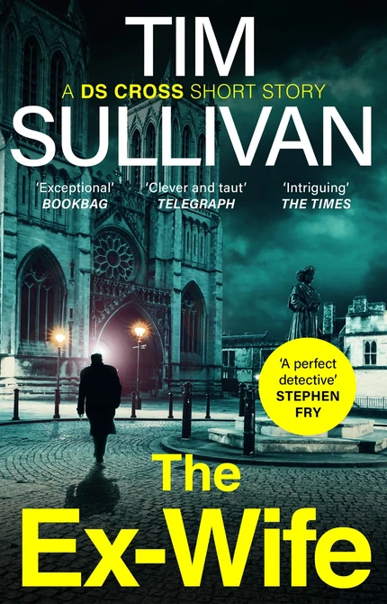 Cover of The Ex-Wife by Tim Sullivan